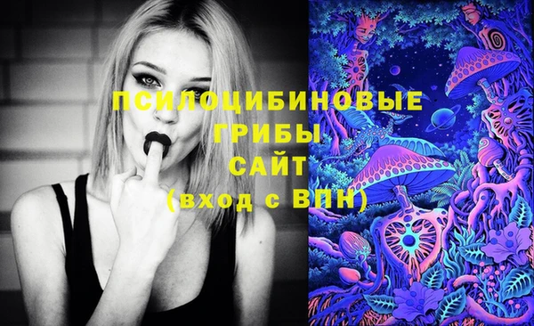 дмт Алексин