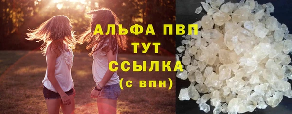 дмт Алексин